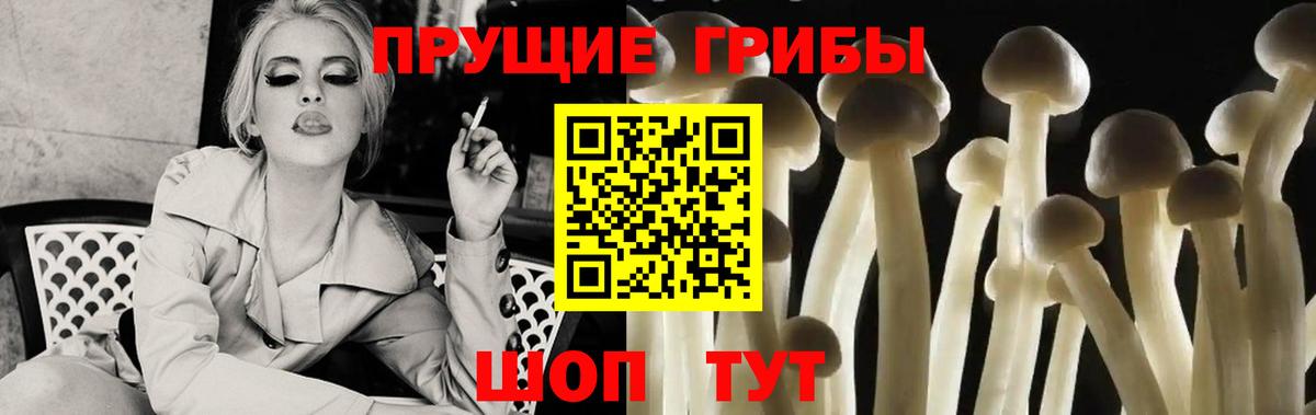 Галлюциногенные грибы MAGIC MUSHROOMS  Вход с VPN  Галлюциногенные грибы Cubensis  Саяногорск 